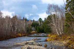 Winter Stream