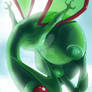 Flygon.Contestentry