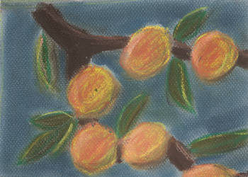 Oranges, Chalk Pastel