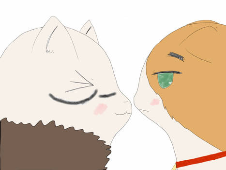 Nekotalia: Americat and Iggycat