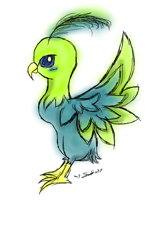 Bird