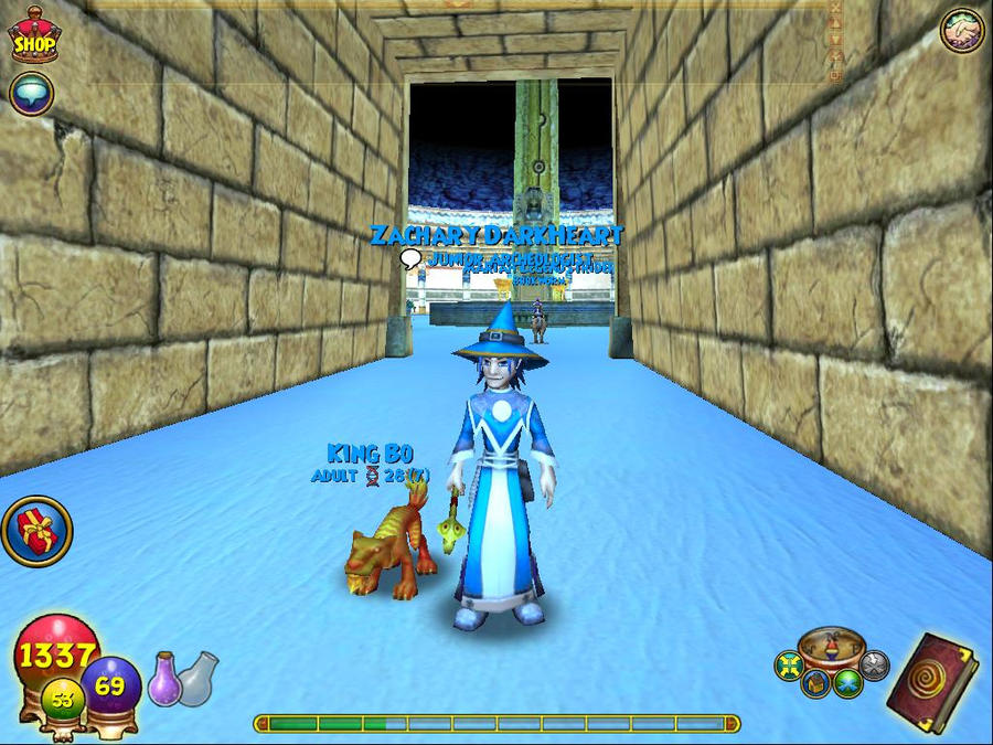 wizard101