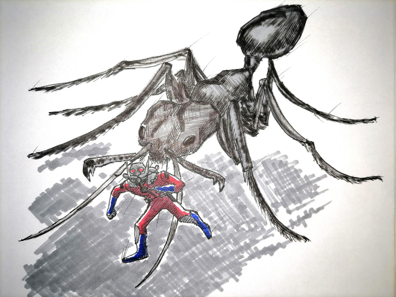 Ant Deviantart ant doodle by TyuleninSFD on DeviantArt