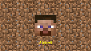 Minecraft Head Project 3 Steve 4K warm vibes