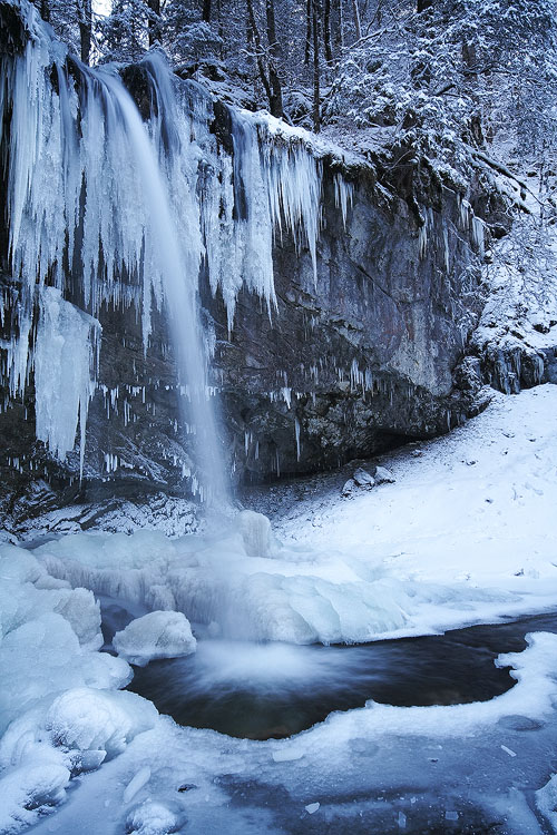 Iced Fauge