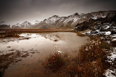 An Ephemeral Pond