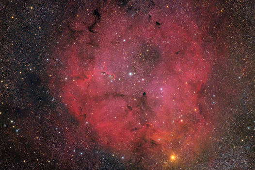 IC 1396 and the Elephants Trunk Nebula