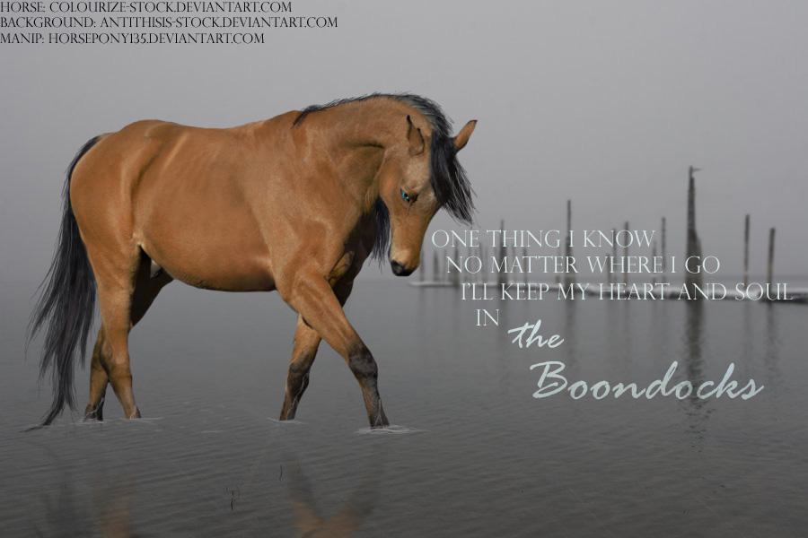 The Boondocks by horsepony135 on DeviantArt