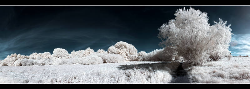 IR Panorama