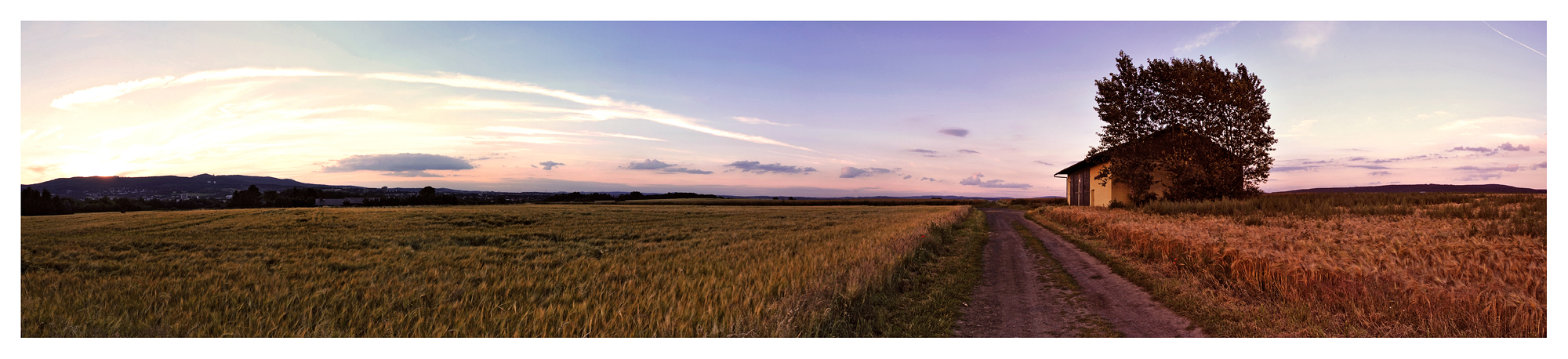 Field panorama