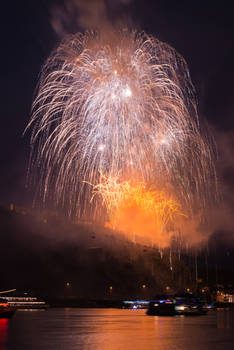 Rhein in Flammen (Rhine in Flames) 2014