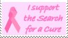 Pink Ribbon Support