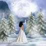 ::Winter's Bride::