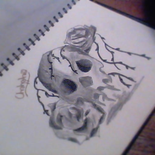 dead rose by razorInsanity on DeviantArt