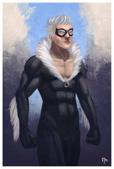 Male Blackcat