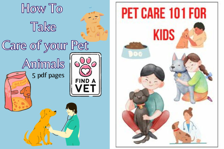 how can we take care of pet animals