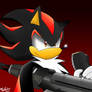 Shadow the Hedgehog