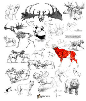 Megaloceros giganteus (Irish elk) sketch dump