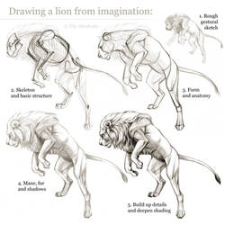 Tutorial: Drawing a lion from imagination