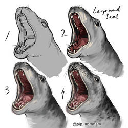Leopard seal speedpaint process
