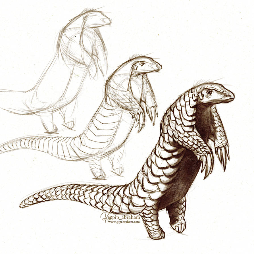 #Draw30Animals 3: Scales - Pangolin by oxpecker on DeviantArt