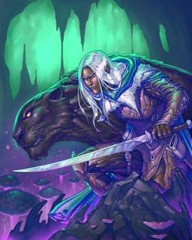 Drizzt