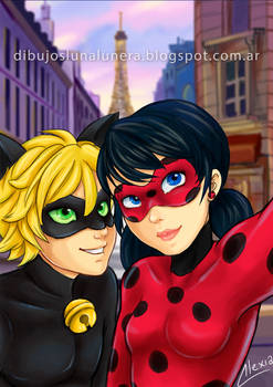 Ladybug cat noir