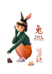 Year of the Rabbit 2023