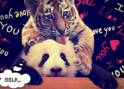 Panda and Tiger: Twazy Love (RDEW)