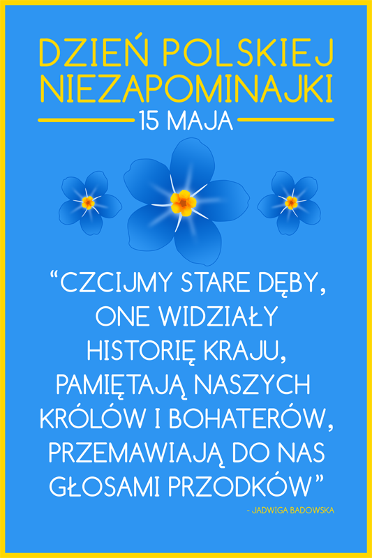 04 PLAKAT - Dzien Polskiej Niezapominajki v. 2