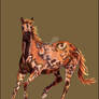 African Wildhorse