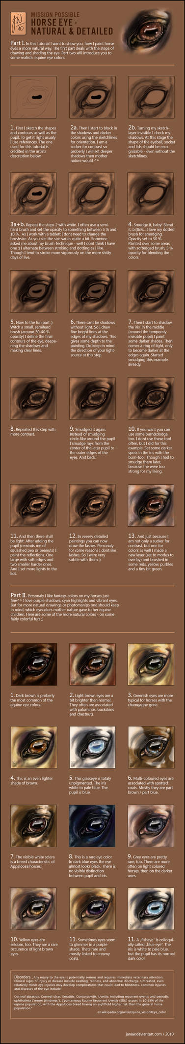 Tut - Natural Horse Eyes by JanaW