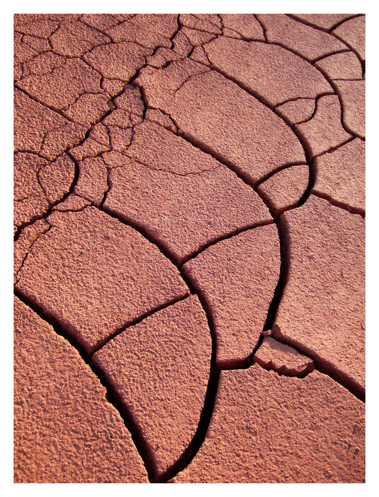 dry patterns by Taozo on DeviantArt