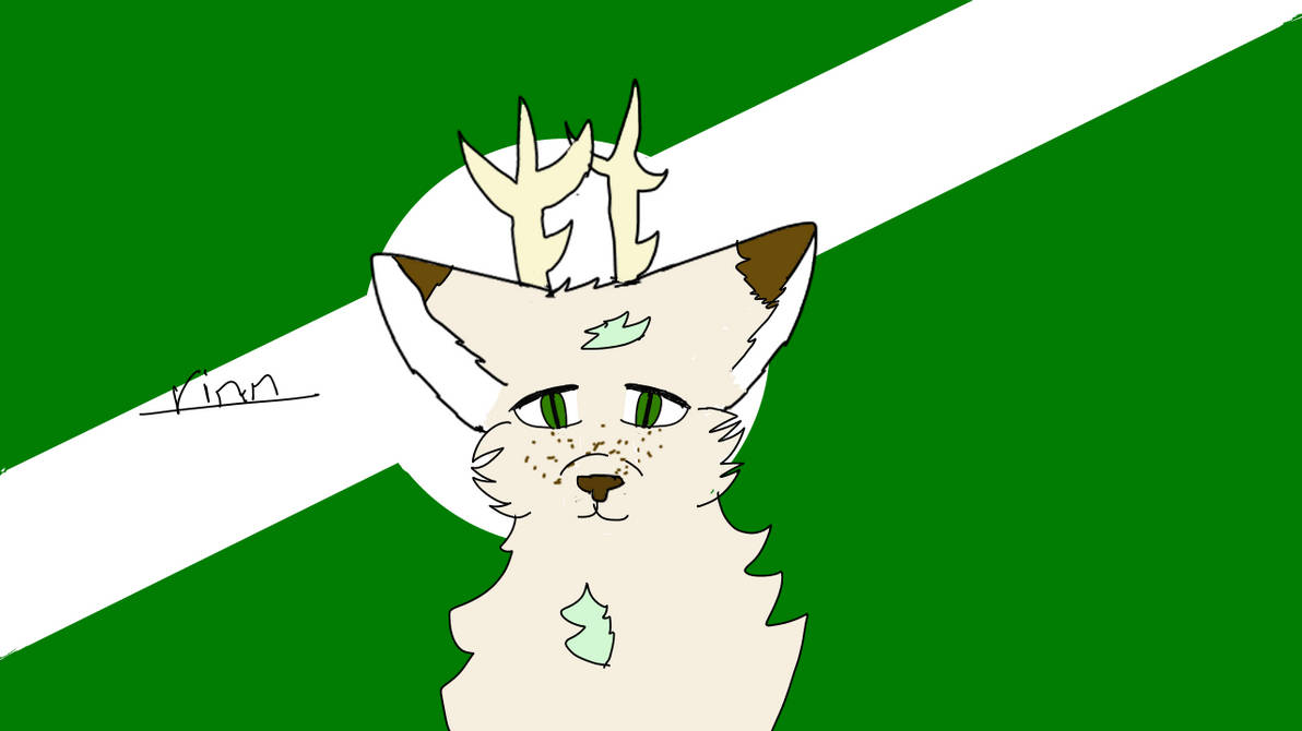 Rinn by ValorsShootingStar on DeviantArt