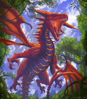 Austral red dragon