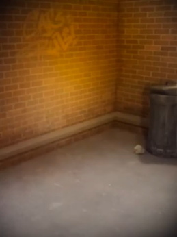 Talking tom cat new background by DavePark1999 on DeviantArt