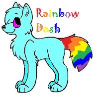 Rainbow Dash wolf