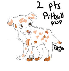 Pitbull Pup-2 pts