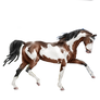 Genpic precut from horseeden.com