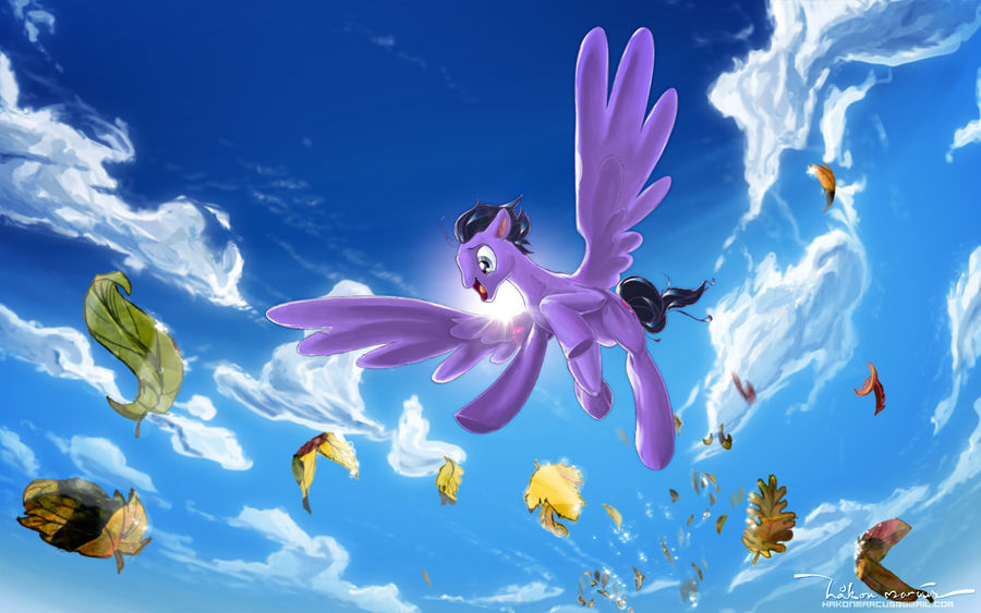 Fall Weather Flight, MLP:FIM OC commission