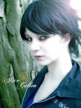 Twilight - Alice Cullen