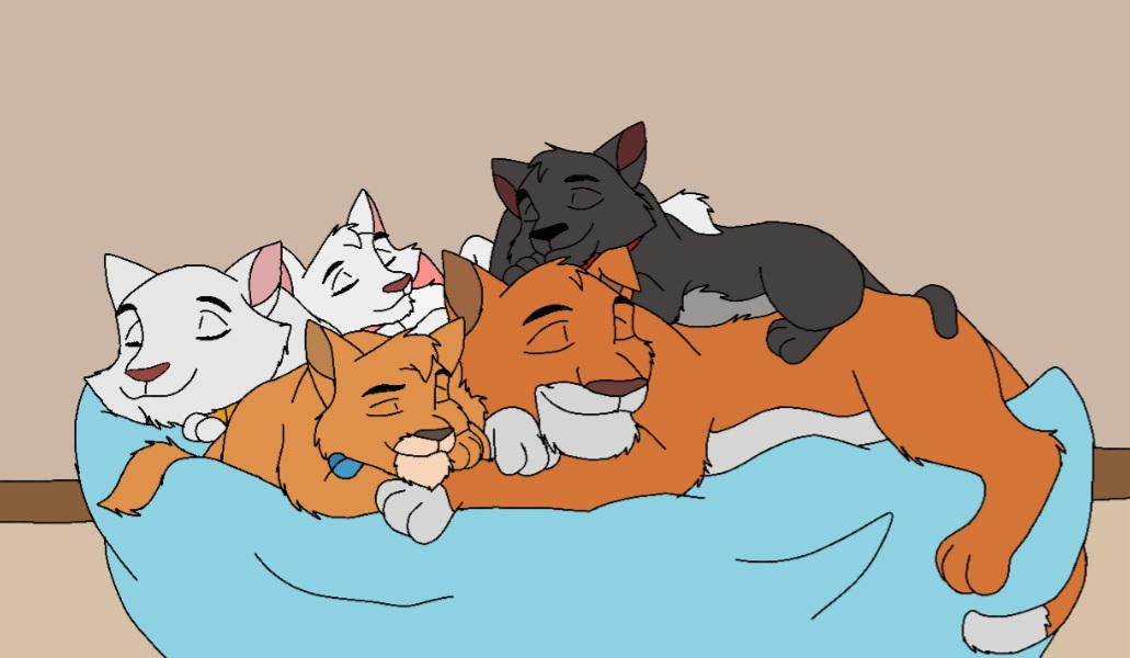 Cat Nap by PhoenixFirre on DeviantArt