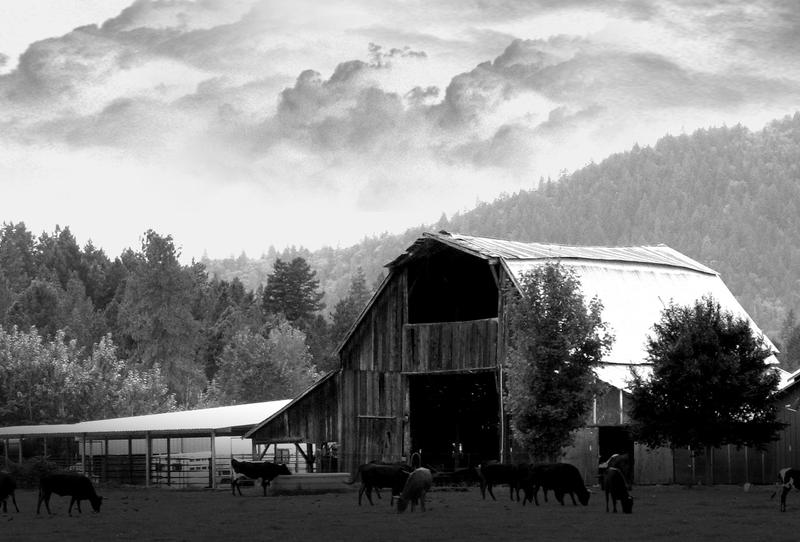 Barn - Rogue River