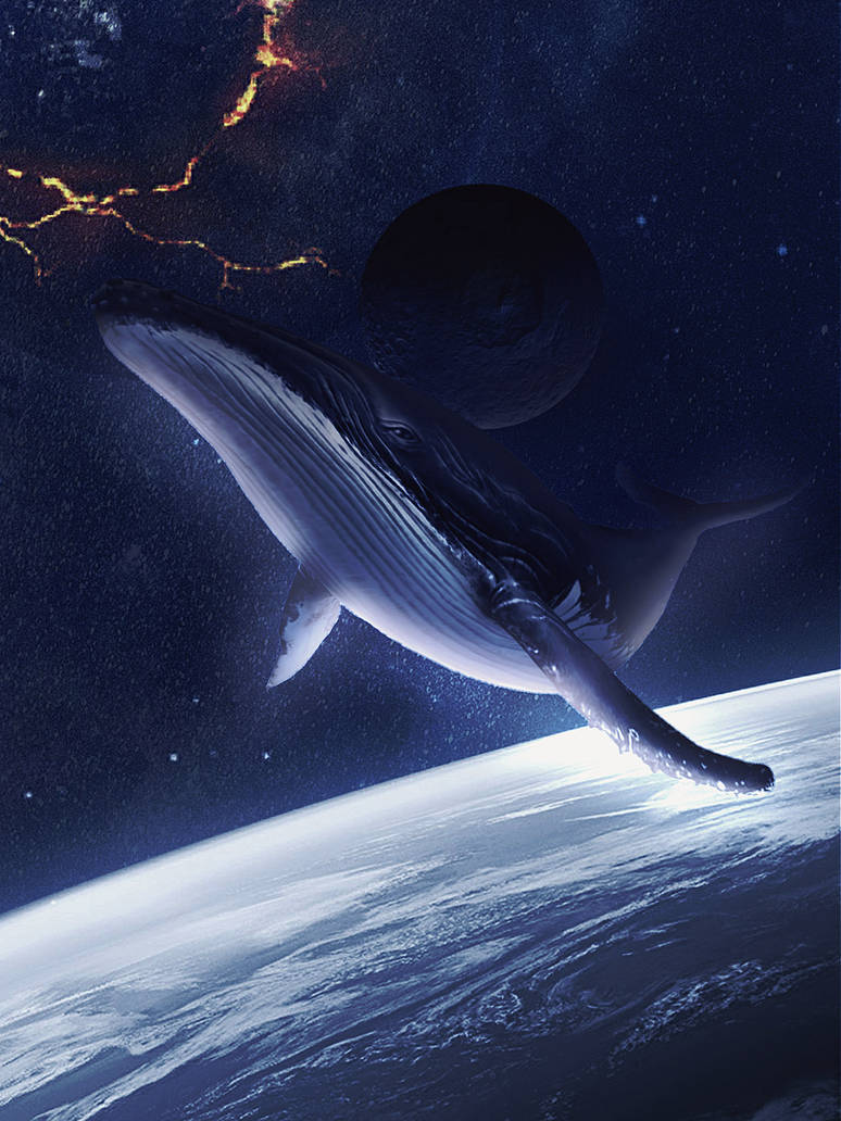 flying whale outer space by 67Greciayeager on DeviantArt