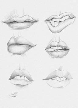 Lip Studies