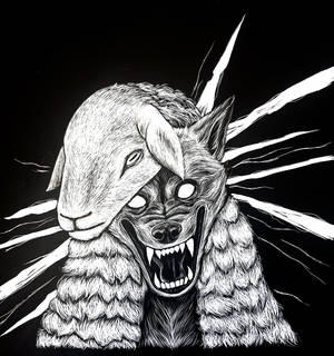 Wolf in Sheep's Clothing - Scratchboard