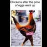 Pricy Cocks Walking Free