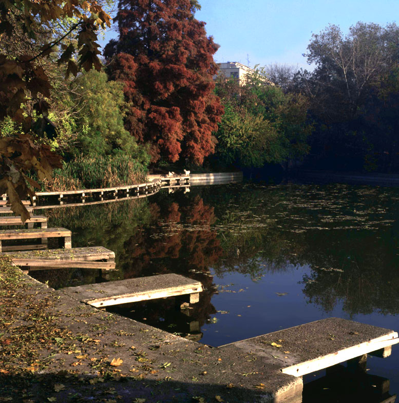 Gradina Cismigiu-lacul