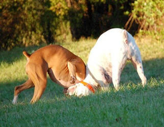 Cody and Libbi