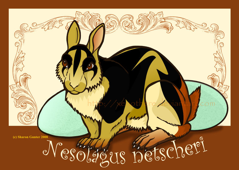 AO: Sumatran Striped Rabbit by Xenothere on DeviantArt